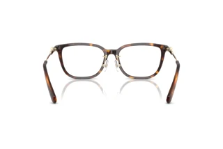 Vista posteriore Swarovski SK2041D (1002)