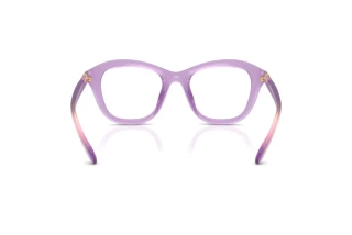 Vista posteriore Swarovski SK2042U (1075)