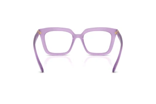 Vista posteriore Swarovski SK2043 (1075)