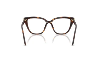 Vista posteriore Swarovski SK2045 (1002)