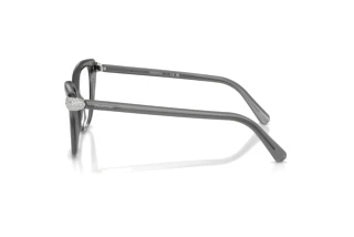 Vista laterale Swarovski SK2045 (1072)