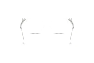 Vista posteriore Swarovski SK2046 (1027)