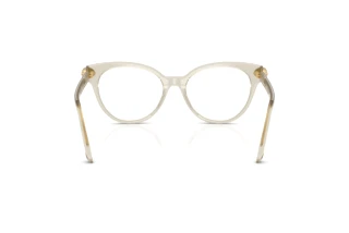 Vista posteriore Swarovski SK2046 (3003)