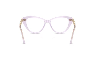 Vista posteriore Swarovski SK2047 (1079)