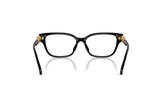 Vista posteriore Swarovski SK2049D (1001)