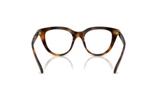 Vista posteriore Swarovski SK2052 (1002)