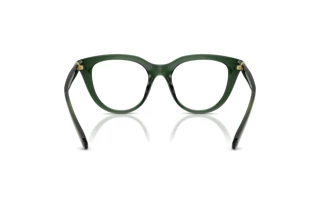 Vista posteriore Swarovski SK2052 (1043)