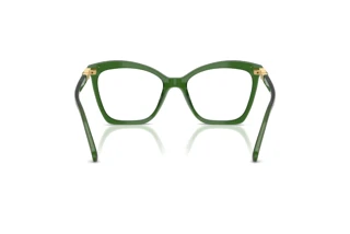 Vista posteriore Swarovski SK2053 (1081)