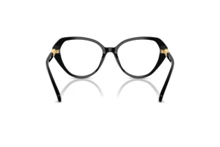 Vista posteriore Swarovski SK2054 (1001)