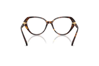 Vista posteriore Swarovski SK2054 (1002)