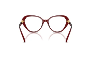 Vista posteriore Swarovski SK2054 (1073)