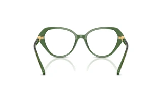 Vista posteriore Swarovski SK2054 (1085)