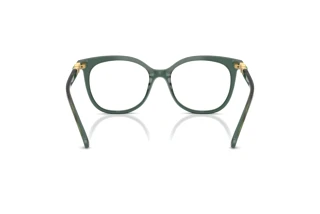 Vista posteriore Swarovski SK2055 (1043)