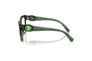 Vista laterale Swarovski SK2056U (1043)