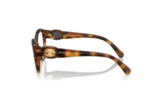 Vista laterale Swarovski SK2057 (1002)