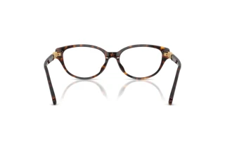 Vista posteriore Swarovski SK2058D (1002)