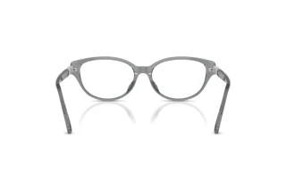 Vista posteriore Swarovski SK2058D (1062)