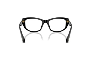 Vista posteriore Swarovski SK2062U (1001)