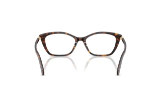 Vista posteriore Swarovski SK2065 (1002)