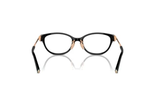 Vista posteriore Tiffany TF2252D (8420)