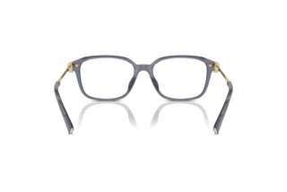 Vista posteriore Tiffany TF2253D (8405)