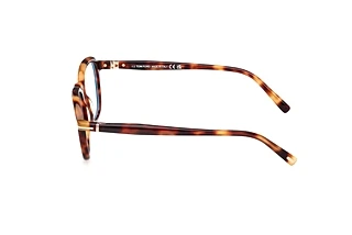 Vista laterale Tom Ford FT5980-B (053)