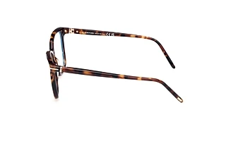 Vista laterale Tom Ford FT5989-B (052)