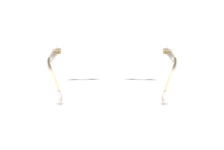 Vista posteriore Tory Burch TY2159U (1979)