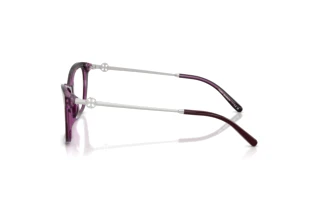 Vista laterale Tory Burch TY2165U (2050)