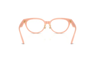 Vista posteriore Versace VE3370D (5497)