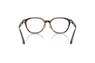 Vista posteriore Versace VE3379D (108)