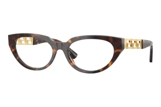 Vista frontale Versace VE3383 (108)