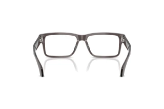 Vista posteriore Versace VE3391U (5389)