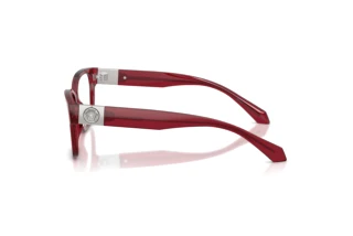 Vista laterale Versace VE3401U (388)