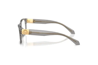 Vista laterale Versace VE3403U (5510)