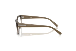 Vista laterale Vogue Eyewear VO5609 (3156)