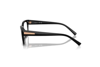 Vista laterale Vogue Eyewear VO5609 (W44)