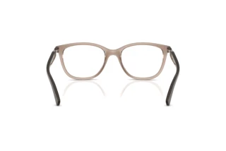 Vista posteriore Vogue Eyewear VO5679B (2940)