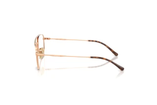Vista laterale Vogue Eyewear VY1001 (5152)