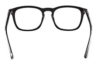 Vista posteriore Web Eyewear WE5386 (005)