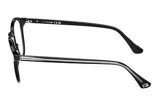 Vista laterale Web Eyewear WE5387 (003)