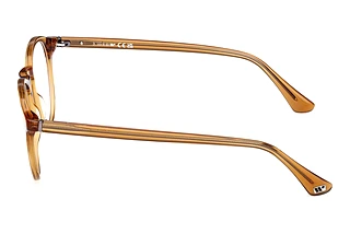 Vista laterale Web Eyewear WE5387 (039)