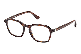 Web Eyewear WE5428 056 Dunkel Havanna