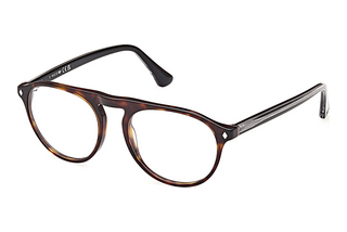 Web Eyewear WE5429 055 Dunkel Havanna