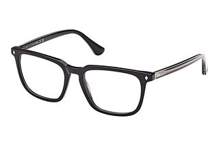 Web Eyewear WE5430 001