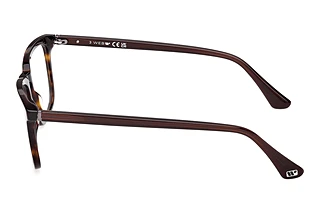 Vista laterale Web Eyewear WE5430 (052)