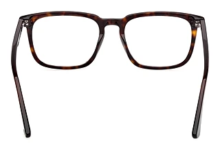 Vista posteriore Web Eyewear WE5430 (052)