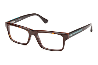 Web Eyewear WE5432 052 Havanna/Einfarbig