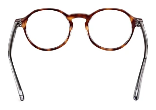 Vista posteriore Web Eyewear WE5440 (056)