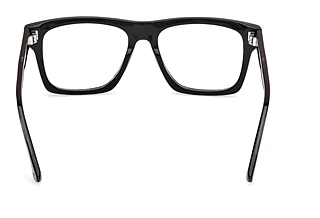 Vista posteriore Web Eyewear WE5450 (056)